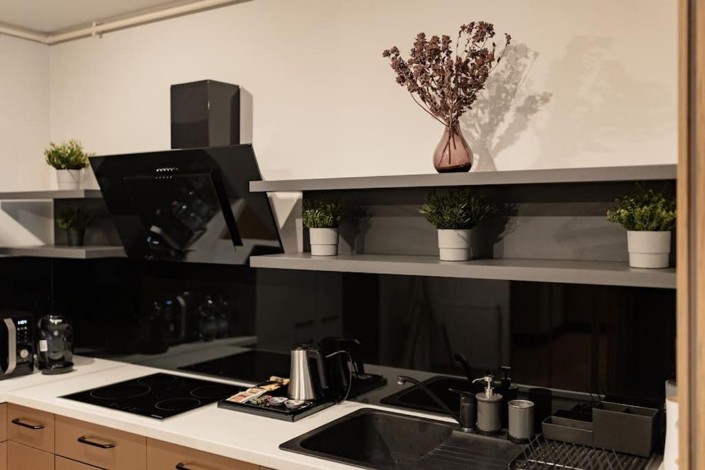 Nest Inn Magic Apartment Клуж-Напока Экстерьер фото